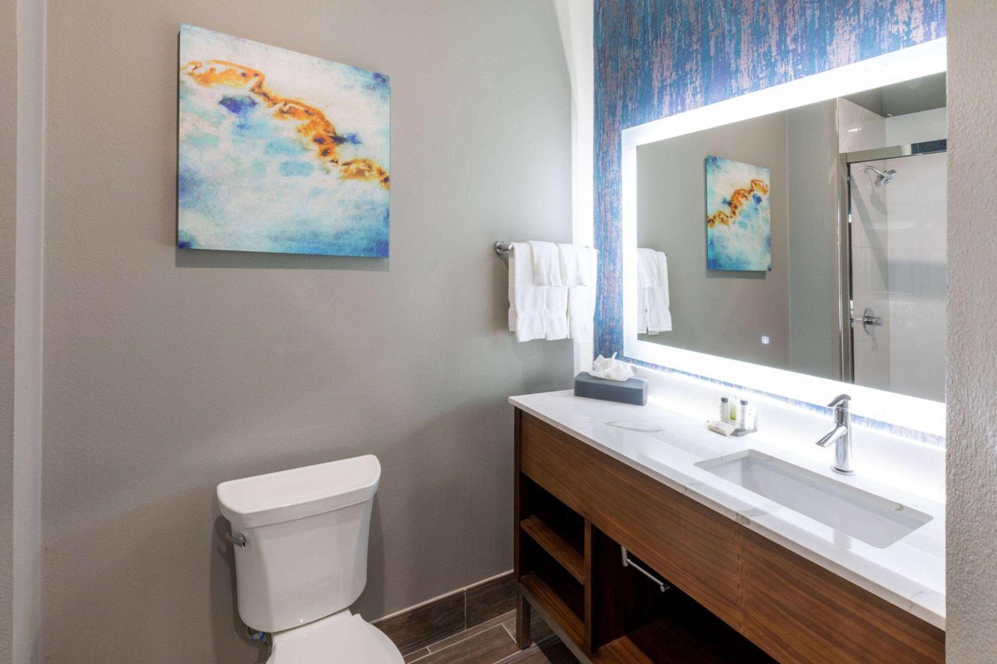 La Quinta Inn & Suites By Wyndham Dallas - Frisco Stadium المظهر الخارجي الصورة